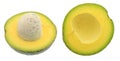 Avogado fruit isolated Royalty Free Stock Photo