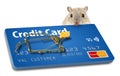 Avoid credit card traps. A baited mousetrap makes this point.