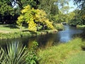 Avon River, Christchurch