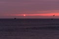 sunrise sky with shore birds and seagulls flying over the Atlantic Ocean near the Shark River Inlet Royalty Free Stock Photo