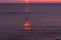 sunrise sky with shore birds and seagulls flying over the Atlantic Ocean near the Shark River Inlet