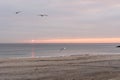 sunrise sky with shore birds and seagulls flying over the Atlantic Ocean near the Shark River Inlet