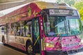 Side and front view of a pink Marta bus