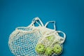Avoska, mesh with apples. Replacing plastic bags. Taking care of the environment. Healthy eating.