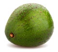 Avozilla avocado Royalty Free Stock Photo