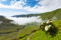 Avusor Plateau in Rize, Turkey.