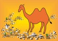 That is the aw-sum art work of desert camel which is looking so beautiful. Royalty Free Stock Photo