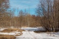 Awakening of nature after winter and snow thaw in parks in early spring