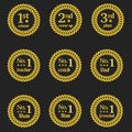 9 reward icons to recognise excellence Royalty Free Stock Photo