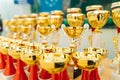 Award cups of sports competitions. The gold cups stand in a row.