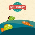 Award medal best quality and fish in the sea