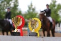 Award rosettes for winner in various colors. Colorful ribbons badges for equestrian champions on competition dressage