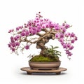 Award-winning Orchid Tree: A Stunning Symmetrical Arrangement In Traditional Japanese Style