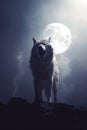 White wolf back lit by a bright full moon. smokey foggy background. barking Royalty Free Stock Photo