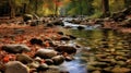 Award Winning Photography Of Garden Stream With Small River Stones In Fall Royalty Free Stock Photo