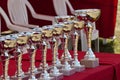 Awards cups on a red table Royalty Free Stock Photo