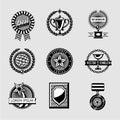 Awards badge vintage set. Collection of vector achievement. Hipster style. Trophy labels.