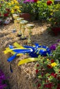 Awards and ribbons on a straw bale Royalty Free Stock Photo