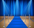 Awards show with blue curtains and blue carpet between rope barriers