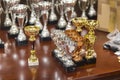 Kids and adult race awards on a table Royalty Free Stock Photo