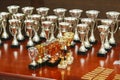 Kids and adult race awards on a table Royalty Free Stock Photo