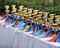 Awards waiting to be assigned after equitation event Royalty Free Stock Photo