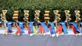 Awards waiting to be assigned after equitation event Royalty Free Stock Photo