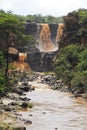 Awash National Park Royalty Free Stock Photo