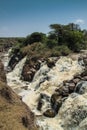 Awash National Park Royalty Free Stock Photo