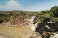 Awash National Park Royalty Free Stock Photo