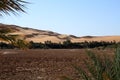 Awbari oasis Royalty Free Stock Photo