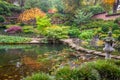 Awe colors of autumn - red and orange leaves and stone path