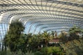 Awe of green nature within the curvy glass dome