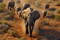 Awe-inspiring aerial view unveils the grandeur of an African elephant.