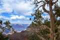 The awe inspiring Grand Canyon national Park in ArizonaUSA