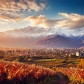 Awe-inspiring Landscape in Mendoza: Andes Mountains, Vineyard, and Plaza Independencia