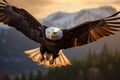 Awe-inspiring Majestic eagle. Generate Ai Royalty Free Stock Photo