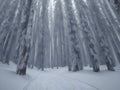 Awe-Inspiring Majesty: Majestic Snowy Peaks in a Winter Wonderland