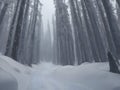 Awe-Inspiring Majesty: Majestic Snowy Peaks in a Winter Wonderland