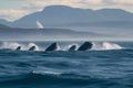 Awe-Inspiring Ocean Stunning Landscape with Whales Breaching in the Distance