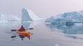 Back of person kayaking through antarctica waters