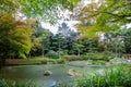 Awe   topiary pines  and pond at japanese  garden in Dusseldorf Royalty Free Stock Photo