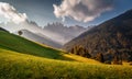 Awesome alpine highlands in sunny day. Alps mountain meadow tranquil summer view. Landscape with Fresh grass, perfect sky and rock