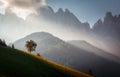 Awesome Alpine highlands during sunrise. foggy morning in Dolomites mountains - mountain range silhouttes. Amazing Nature Royalty Free Stock Photo