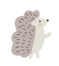 Awesome baby vector cute flat hedgehog isolated. Doodle animal illustration in scandinavian style for design. Graphic Royalty Free Stock Photo