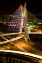 Pinheiros bridge at night