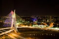 Pinheiros River Bridge at night