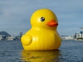Awesome cute Giant rubber duck project in Hong Kong Victoria harbour June 2023