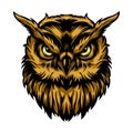 Awesome golden Owl Vector Design
