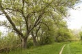 Awesome Green Sceneries of Natural Reserve of Ciane River in Syracuse, Sicily, Italy.